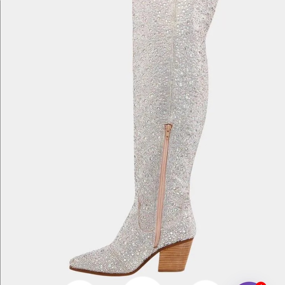 Renaissance Rhinestone boots